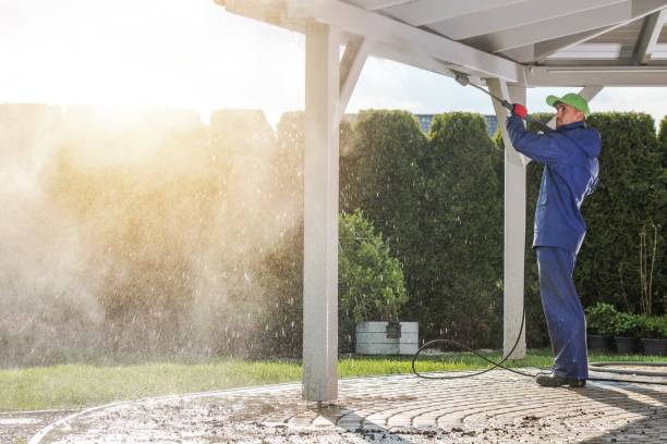 Best Roof Cleaning and Mildew Removal in Combes, TX